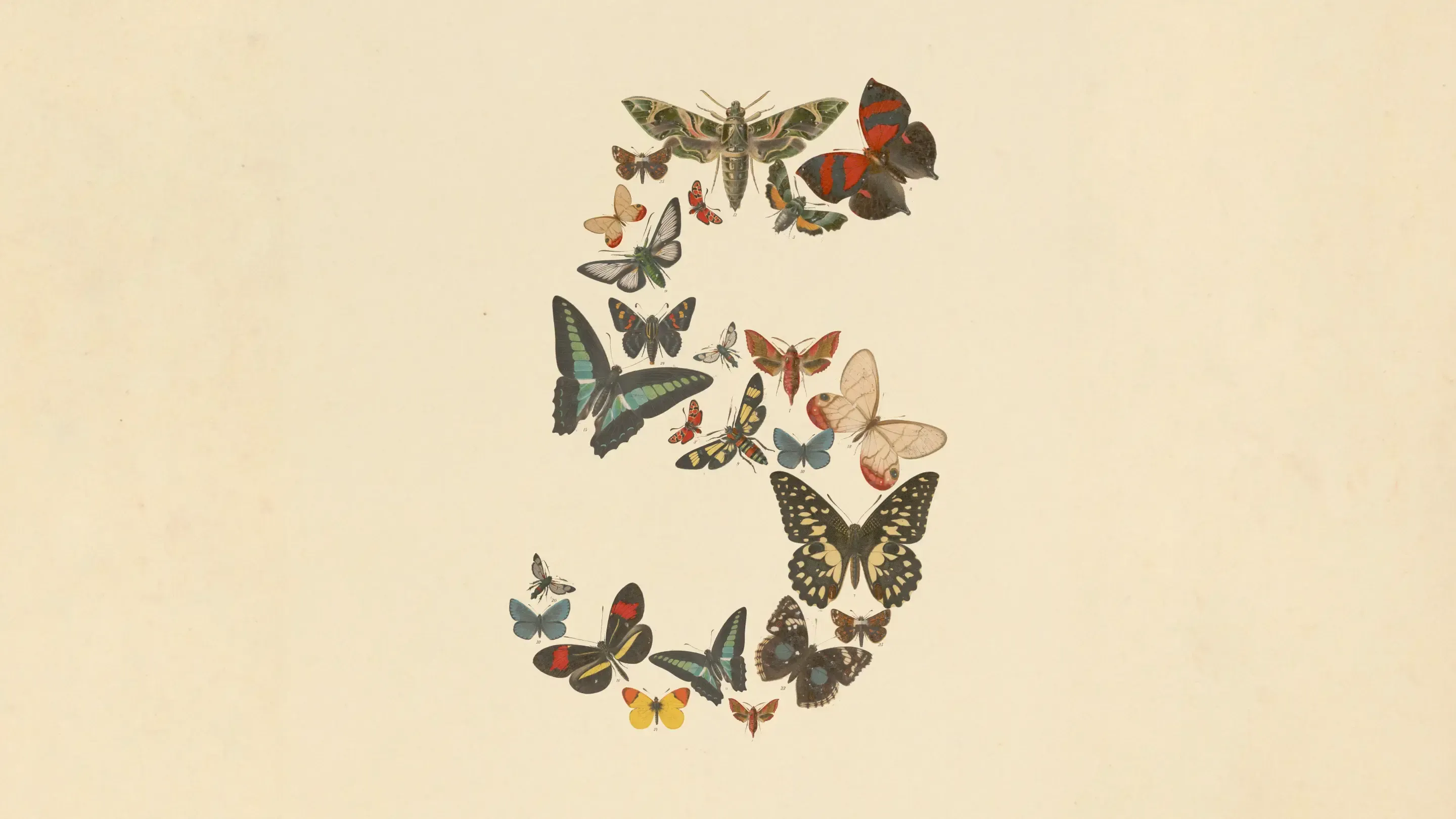 Claude Fable 5's Challenge of "Redefining Management": 5 Strategies for Integrating Mythical AI into Organizational Decision-Making